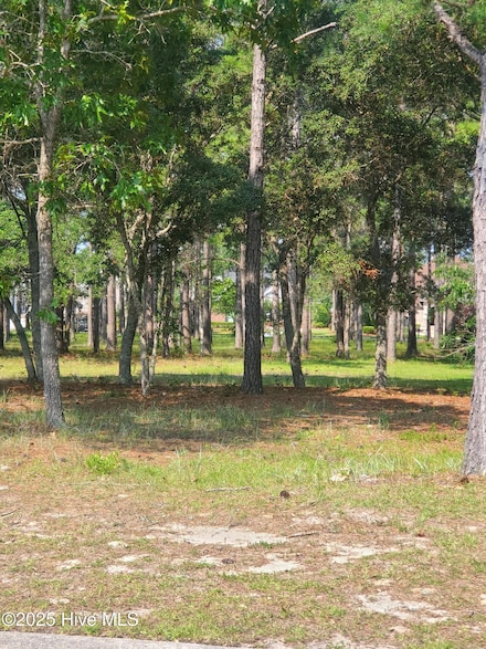 6597 Annesbrook SW, Ocean Isle Beach, NC 28469