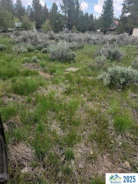 000 Mimosa Way, Susanville, CA 96130