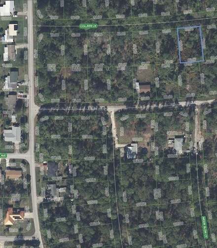 225 Colleen Ln, Lake Placid, FL 33852