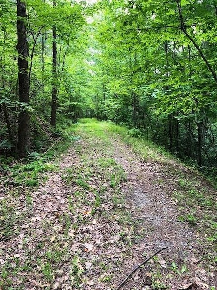 Lot 46 Lake Adger Pkwy, Mill Spring, NC 28756