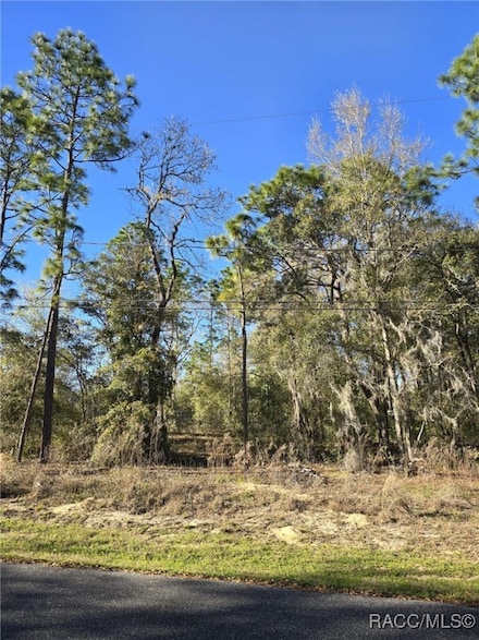 5215 E South Crossing Ct, Inverness Highlands South, FL 34452