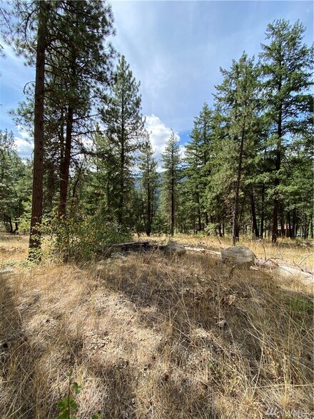 57 W Fawn Creek Rd, Winthrop, WA 98862
