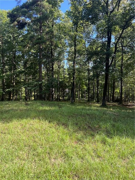 1009 E Nantachie Dr, Montgomery, LA 71454