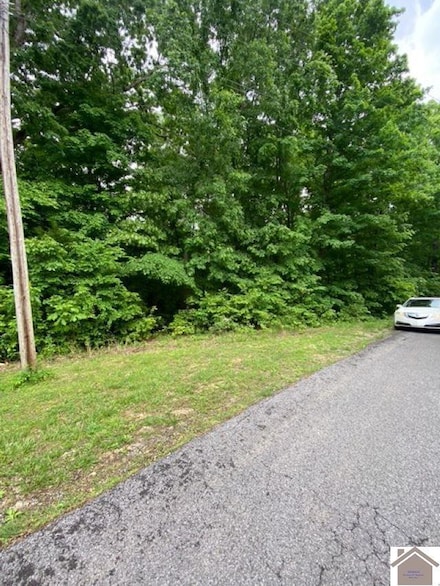 0000 Driftwood Estates Lot #54, Eddyville, KY 42038