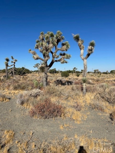 0 Beekley Unit HD24214011, Pinon Hills, CA 92372