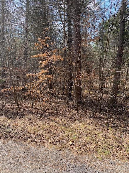 Lot 20 N Fork Rd, Burnside, KY 42519