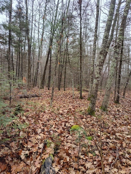 ON Lake Rd, Monico, WI 54501