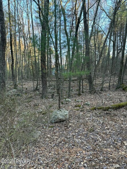 Lot 1537 Sequoia Ln, Pocono Woodland Lakes, PA 18337