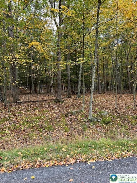 289 Forest Dr, Price Township, PA 18325