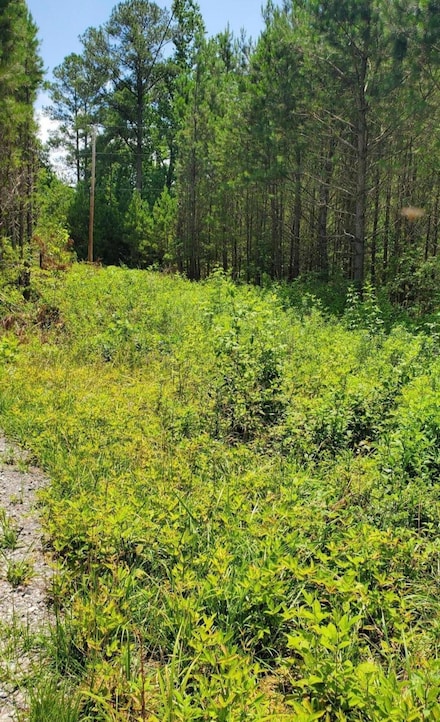 LOT #15 Highalnd Shores Subdivision, Jasper, AL 35503