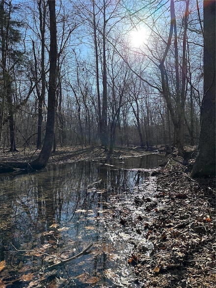 0 Log Rd, Logan Township, MO 63957