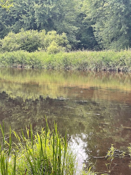 0 Kimball Ln Unit 50312276, Silver Cliff, WI 54104