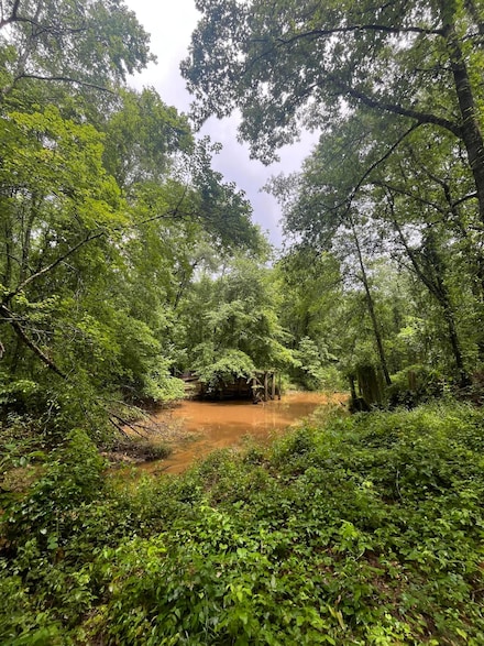 0 Happy Hollow Rd, Woodland, MS 39776