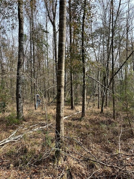 0 Louisiana 441, Holden, LA 70744