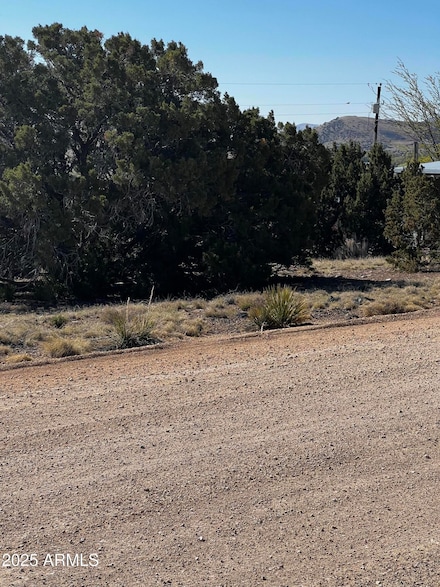 58 Short Ln Unit 2, Concho, AZ 85924