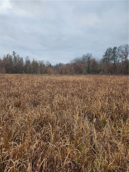 XXX County Road Ff, Webster, WI 54893