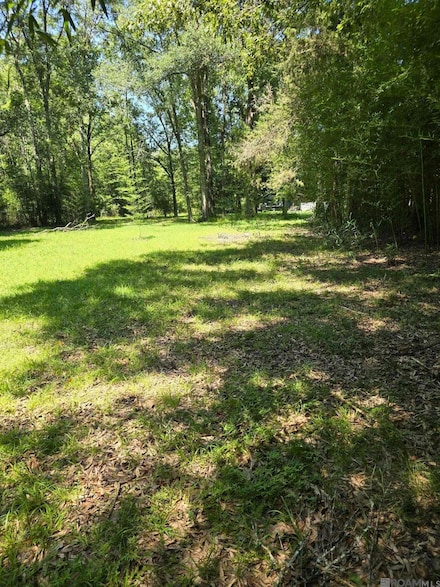 7215 Lower Zachary Rd, Zachary, LA 70791