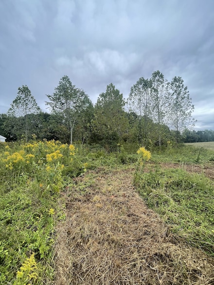 0 Oak Grove Rd Unit RTC2705667, Red Boiling Springs, TN 37150