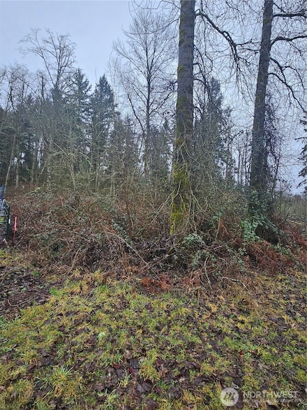 25905 96th Ave E, Graham, WA 98338