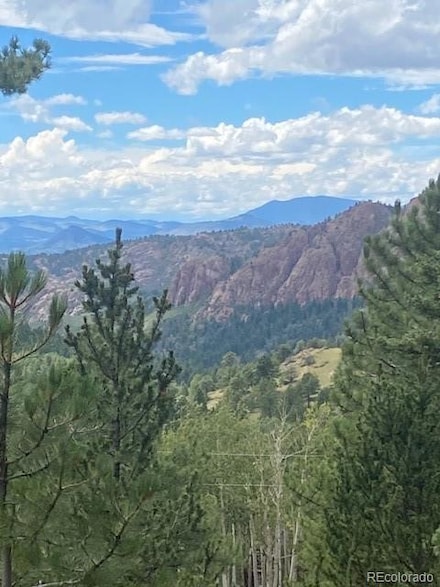 216 and 252 Troy Dr, Cripple Creek, CO 80813