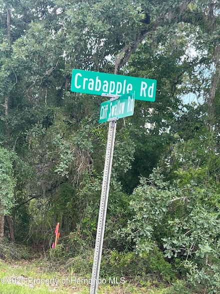 0000000000 Crabapple Rd, Weeki Wachee, FL 34614