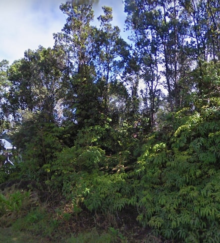 0 Liona St Unit 720501, Volcano, HI 96785