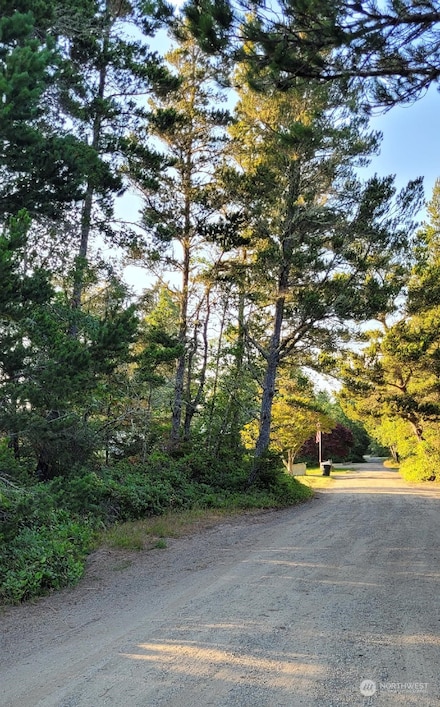 24503 Y Ln, Ocean Park, WA 98640