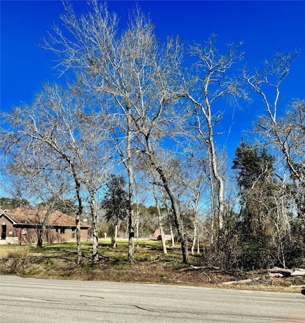 2523 Timber Dr, Dickinson, TX 77539