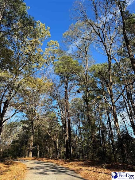 TBD Wilson St, Society Hill, SC 29583