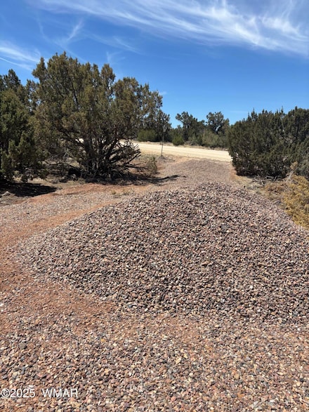 26 Spruce St Unit 8051, Concho, AZ 85924