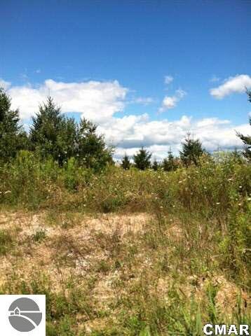 0 E Elm Rd Unit 1765220, Clare, MI 48617