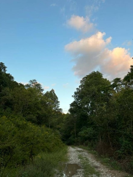 000 Contrary Creek Rd, Louisa, KY 41230