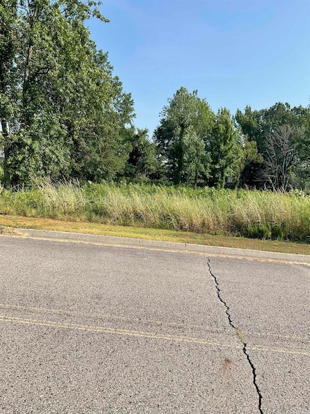 Lot 28 E C St, Russellville, AR 72802