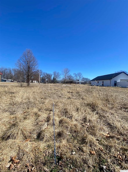 1711 E 1324th St, Fowler, IL 62338
