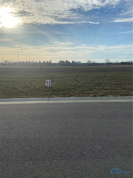 10249 Witte Walk, Whitehouse, OH 43571
