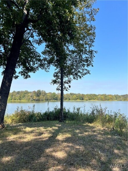 936 Cypress Point Dr, Sawyerville, AL 36776