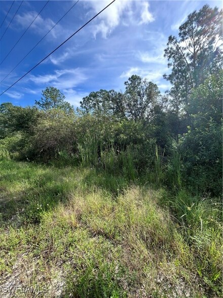 3370 Fernwood Ln Unit 81, Labelle, FL 33935
