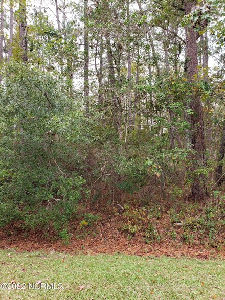 8 Gumwood Dr, Carolina Shores, NC 28467