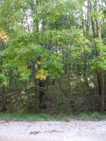 9030 Boggie Dr Unit 152, Canadian Lakes, MI 49346