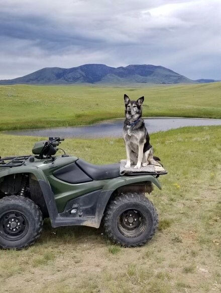 NHN Hill School Rd, Chester, MT 59522