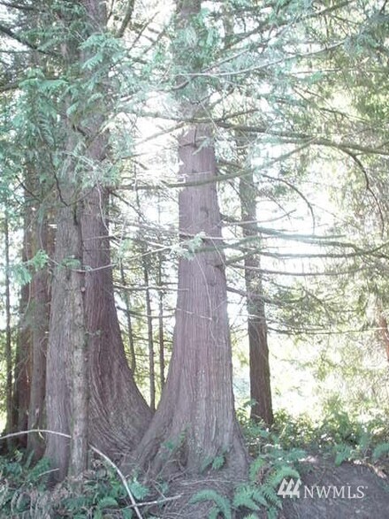 0 XX Beauty Lake Rd SW, Port Orchard, WA 98367