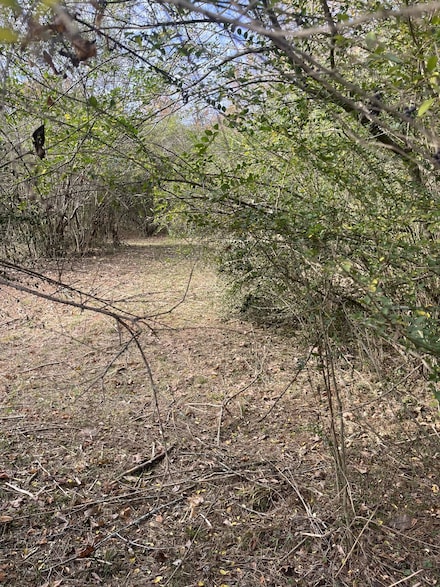 3371 Freeman Hollow Rd, Nashville, TN 37072