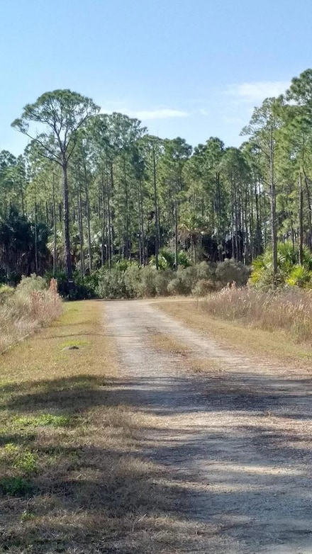 LOT 8 SW 104th Ct, Cedar Key, FL 32625