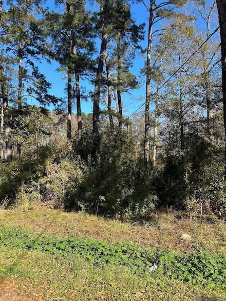 Lot 15 Magnolia Dr, Walker, LA 70785