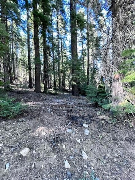 101 Snowshoe Ln, Little Grass Valley, CA 95981