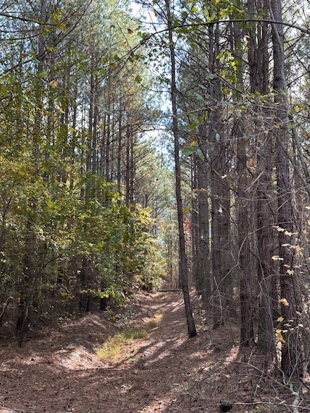 0 Williams Grove Rd, Camden, TN 38320