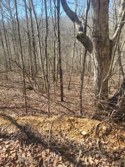 0 Reed Rd, Summertown, TN 38483