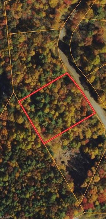 1.013 ac on Free Bir Birch Trail, Jefferson, NC 28640