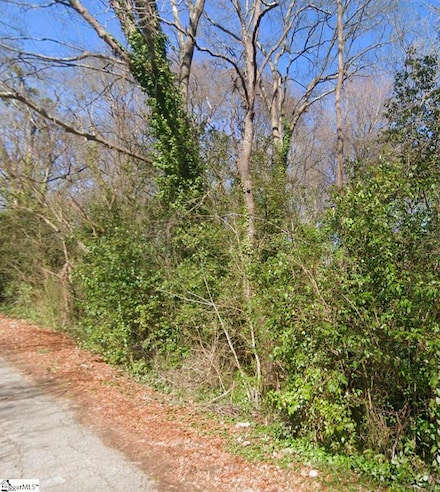 1031 Mayview St, Spartanburg, SC 29303
