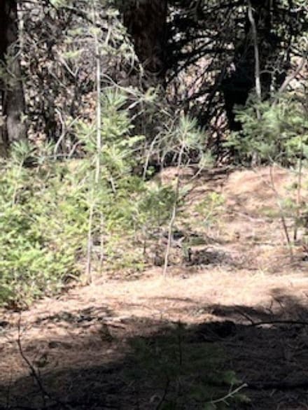 22 Apache Canyon Rd, Hi Rls Mountain Park, NM 88325